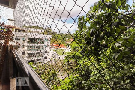 Apartamento à venda com 216m², 3 quartos e 3 vagas