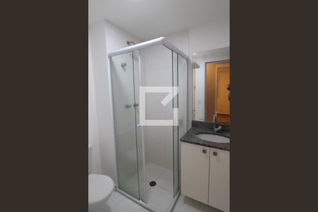 Banheiro de apartamento para alugar com 2 quartos, 65m² em Jardim Vazani, São Paulo