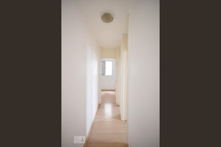 Corredor de apartamento à venda com 3 quartos, 62m² em Pirajussara, São Paulo