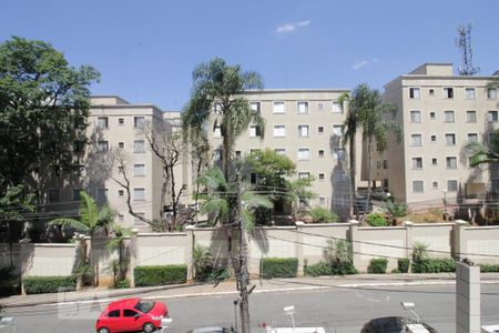Apartamento à venda com 3 quartos, 76m² em Paraisópolis, São Paulo