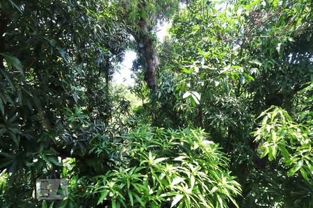 Casa de condomínio à venda com 180m², 3 quartos e 2 vagasVista da Suíte 3