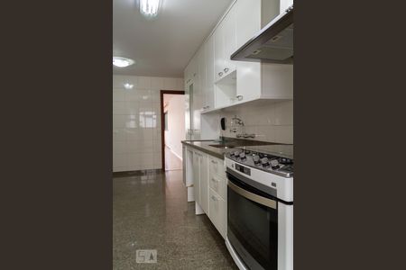 Apartamento para alugar com 299m², 4 quartos e 4 vagas Apartamento para alugar com 299m², 4 quartos e 4 vagasCozinha