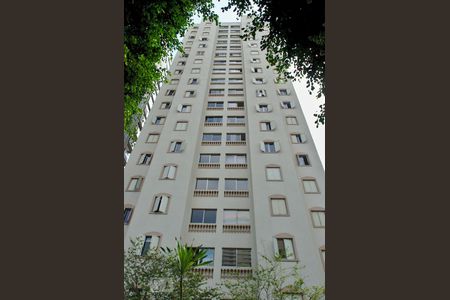 Apartamento para alugar com 68m², 2 quartos e 1 vaga Apartamento para alugar com 68m², 2 quartos e 1 vagaÁrea Comum