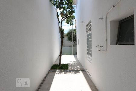corredor de casa para alugar com 2 quartos, 174m² em Vila Tramontano, São Paulo