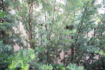 Casa à venda com 744m², 6 quartos e 8 vagasQuarto 4 - vista