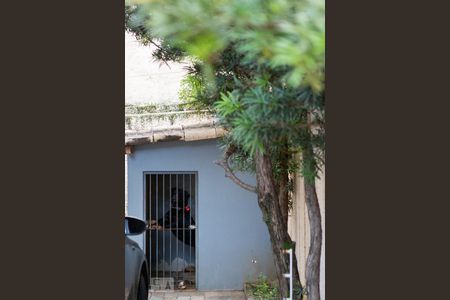 Casa à venda com 744m², 6 quartos e 8 vagasCanil