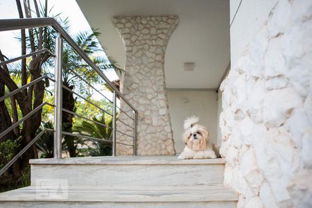 Casa à venda com 744m², 6 quartos e 8 vagasÁrea externa