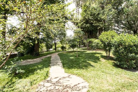 Apartamento para alugar com 63m², 2 quartos e 1 vagaBosque