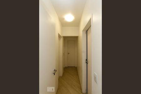 Corredor de apartamento para alugar com 3 quartos, 86m² em Mooca, São Paulo