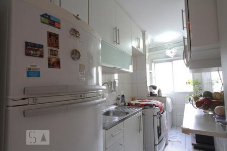 Cozinha de apartamento para alugar com 2 quartos, 60m² em Vila Basileia, São Paulo