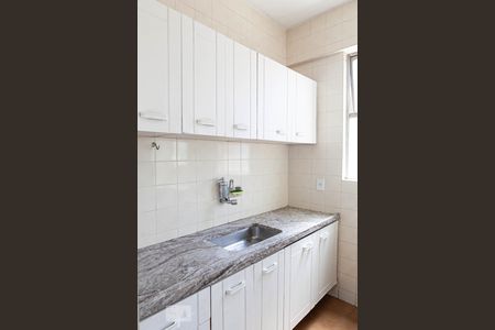 Cozinha de apartamento para alugar com 1 quarto, 37m² em Boa Viagem, Belo Horizonte