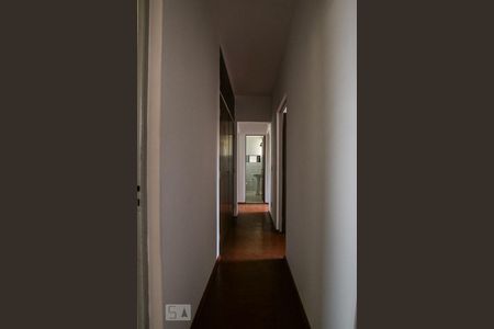 Corredor de apartamento para alugar com 3 quartos, 113m² em Jardim Flamboyant, Campinas