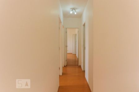Corredor de apartamento para alugar com 3 quartos, 77m² em Vila Monumento, São Paulo