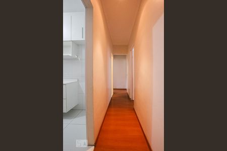 Corredor de apartamento à venda com 3 quartos, 78m² em Jardim Flamboyant, Campinas