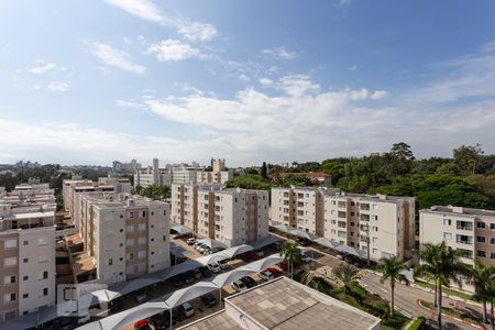 Vista da Suíte de apartamento à venda com 3 quartos, 60m² em Jardim do Trevo, Campinas