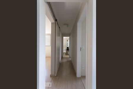 Corredor de apartamento à venda com 3 quartos, 60m² em Jardim do Trevo, Campinas