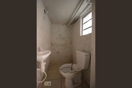 Banheiro de casa para alugar com 1 quarto, 40m² em Jardim Monte Kemel, São Paulo