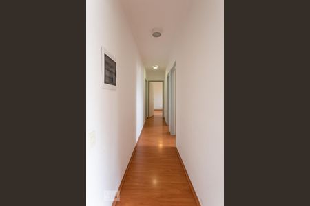 Corredor de apartamento para alugar com 3 quartos, 82m² em Vila Lemos, Campinas