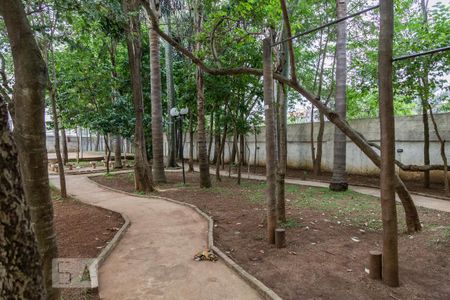 Apartamento para alugar com 50m², 2 quartos e 1 vaga Apartamento para alugar com 50m², 2 quartos e 1 vagaPista de Cooper