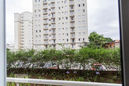 Vista Sala de apartamento para alugar com 2 quartos, 50m² em Jardim Cotinha, São Paulo