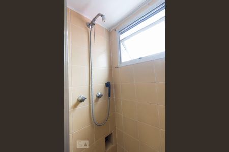 Banheiro Social de apartamento para alugar com 2 quartos, 52m² em Saúde, São Paulo