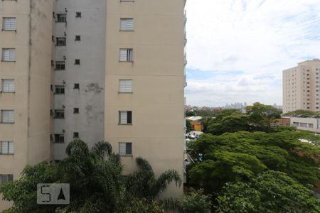 Vista da Suíte de apartamento para alugar com 3 quartos, 70m² em Jaguaré, São Paulo