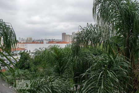 Apartamento à venda com 40m², 1 quarto e 1 vagaVISTA SALA