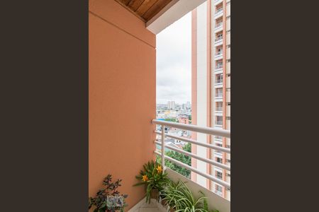 Varanda de apartamento para alugar com 3 quartos, 54m² em Casa Branca, Santo André