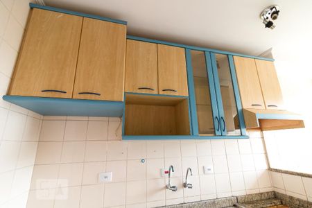 Apartamento para alugar com 57m², 2 quartos e 1 vagaCozinha - armários