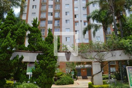 Fachada de apartamento para alugar com 2 quartos, 47m² em Cambuci, São Paulo