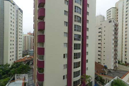 Vista da janela da varanda de apartamento para alugar com 2 quartos, 50m² em Parque Imperial, São Paulo