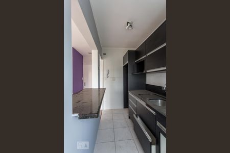 Cozinha de apartamento à venda com 1 quarto, 60m² em Cristal, Porto Alegre