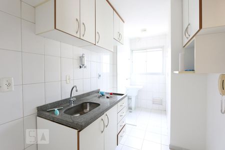 cozinha de apartamento para alugar com 2 quartos, 48m² em Jardim Ampliação, São Paulo