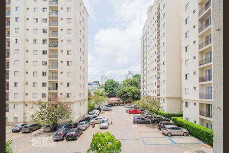 Vista da Sala de apartamento para alugar com 2 quartos, 48m² em Vila Firmiano Pinto, São Paulo