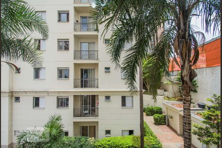 Vista do Quarto 1 de apartamento para alugar com 2 quartos, 48m² em Vila Firmiano Pinto, São Paulo