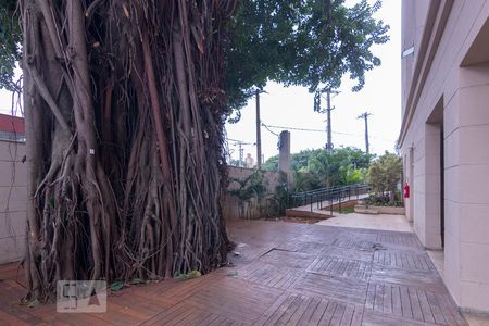 Apartamento para alugar com 60m², 2 quartos e 1 vaga Apartamento para alugar com 60m², 2 quartos e 1 vagaÁrea Comum