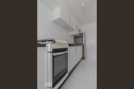 Cozinha de apartamento para alugar com 1 quarto, 34m² em Cambuci, São Paulo
