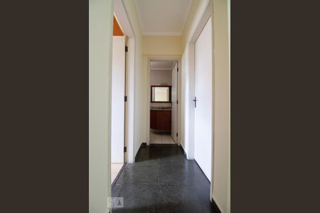 Corredor de apartamento para alugar com 2 quartos, 75m² em Cambuí, Campinas