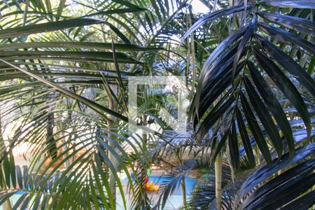 Apartamento à venda com 50m², 2 quartos e 1 vagaVista do Quarto 2