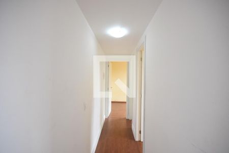 Corredor de apartamento para alugar com 2 quartos, 42m² em Jardim Parque Morumbi, São Paulo