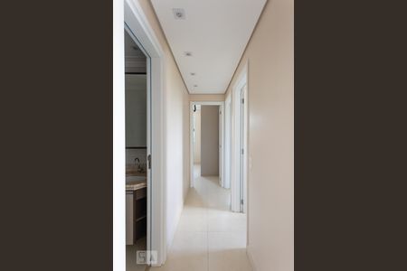 Corredor de apartamento para alugar com 3 quartos, 70m² em Jardim Paranapanema, Campinas
