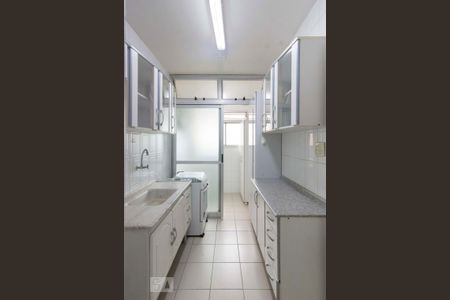 Cozinha de apartamento para alugar com 3 quartos, 58m² em Vila Pereira Barreto, São Paulo
