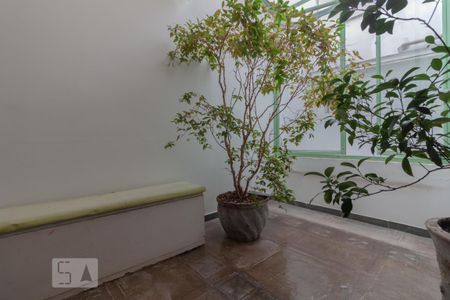 Casa à venda com 290m², 3 quartos e 1 vaga Casa à venda com 290m², 3 quartos e 1 vagaCopa