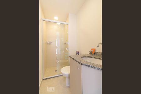 Banheiro de apartamento para alugar com 1 quarto, 36m² em Brás, São Paulo
