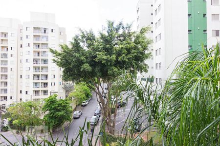 Vista de apartamento para alugar com 2 quartos, 49m² em Vila Amélia, São Paulo