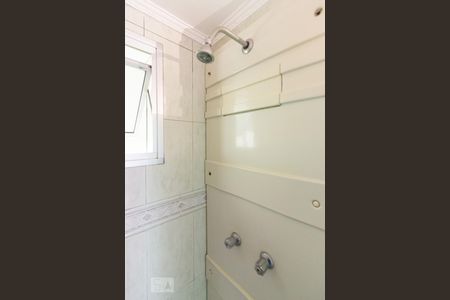 Banheiro de apartamento para alugar com 2 quartos, 49m² em Vila Amélia, São Paulo