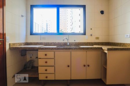 Apartamento para alugar com 180m², 4 quartos e 2 vagas Apartamento para alugar com 180m², 4 quartos e 2 vagasCozinha - Armários