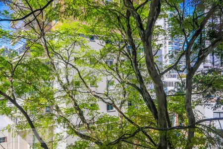 Apartamento para alugar com 180m², 4 quartos e 2 vagas Apartamento para alugar com 180m², 4 quartos e 2 vagasVista