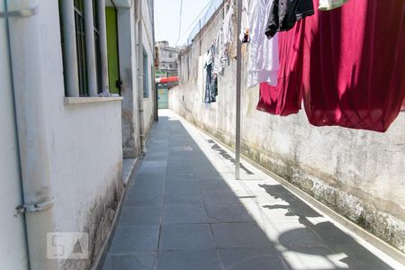 Casa para alugar com 30m², 1 quarto e sem vagaÁrea Comum - Quintal