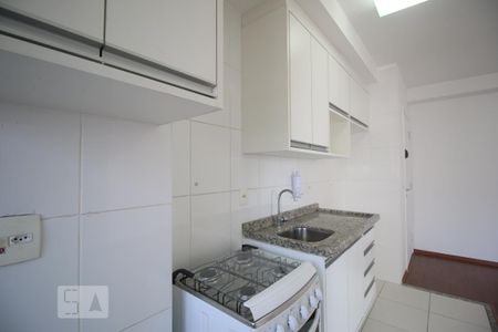 Cozinha de apartamento para alugar com 1 quarto, 39m² em Vila Cruzeiro, São Paulo